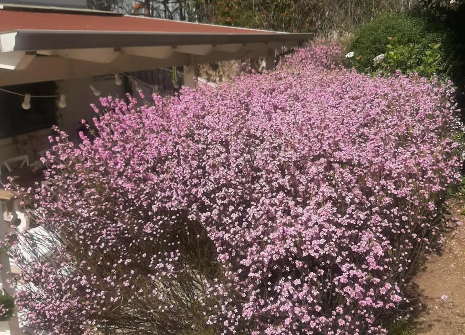 巴里The Orange Groove住宿加早餐旅馆