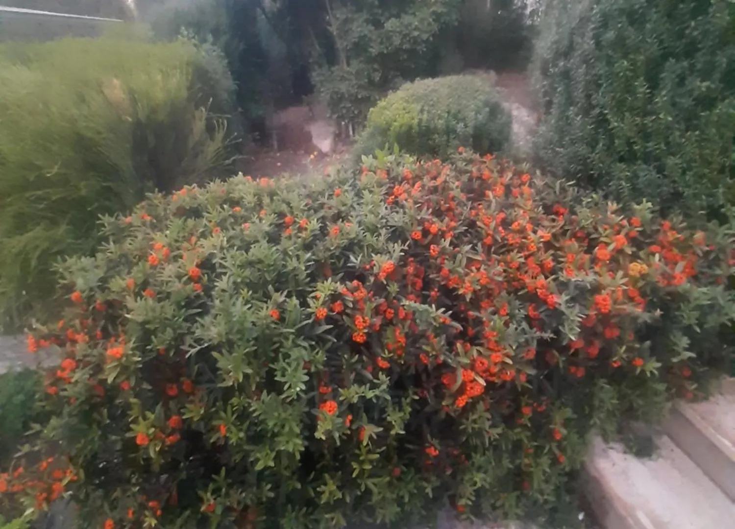 巴里The Orange Groove住宿加早餐旅馆 0*, 巴里 意大利